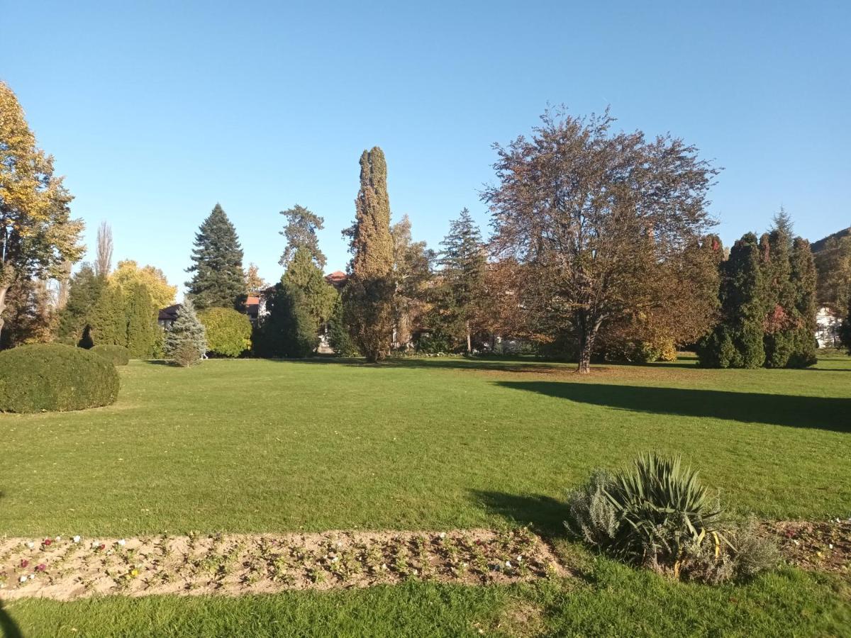 Apartman Lavanda Banja Koviljača Exterior foto